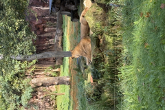 20241015_093743346_iOS