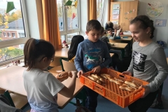 IMG-20191114-WA0007
