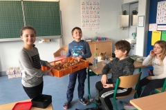 IMG-20191114-WA0013