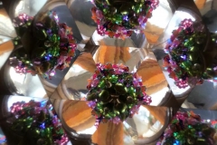 IMG-20210329-WA0010