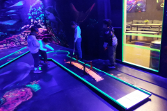 IMG-20240321-WA0017