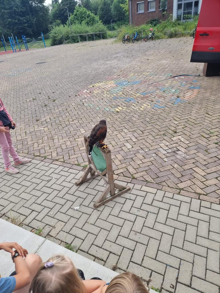 IMG-20220628-WA0007