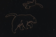 20191127_100752