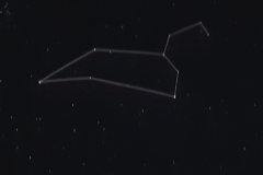 20191127_100824