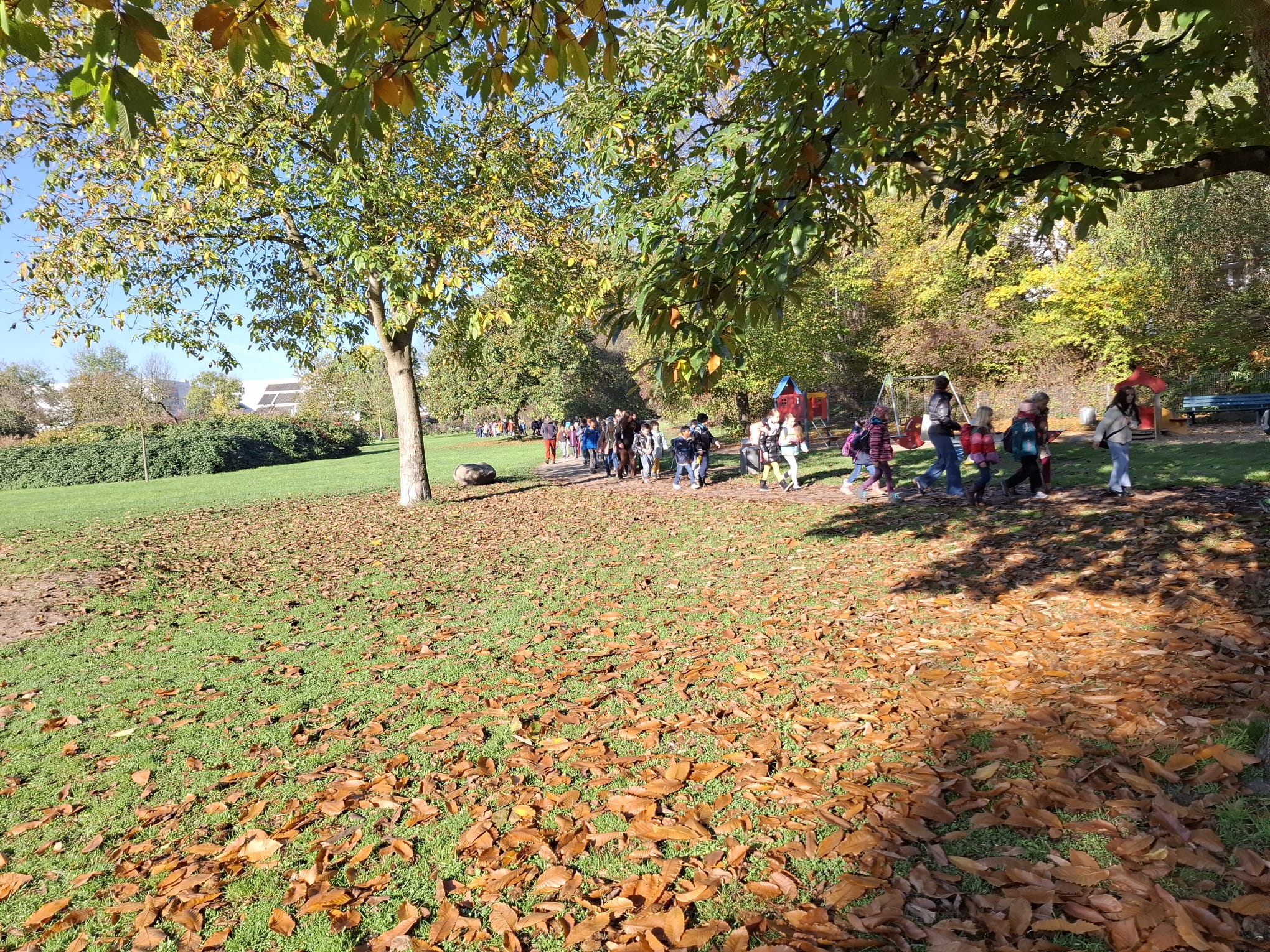 IMG-20241104-WA0016
