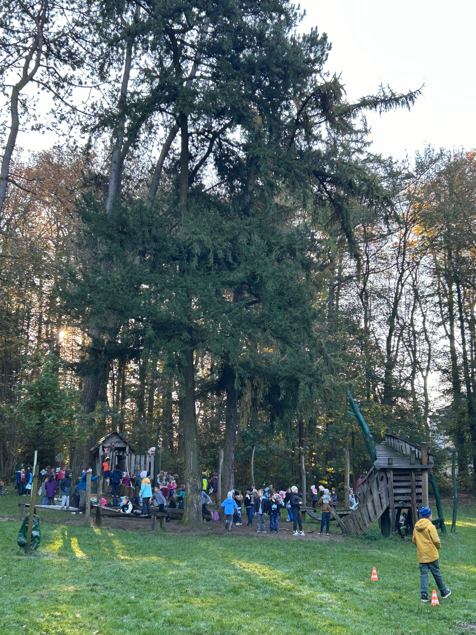 IMG-20241104-WA0033